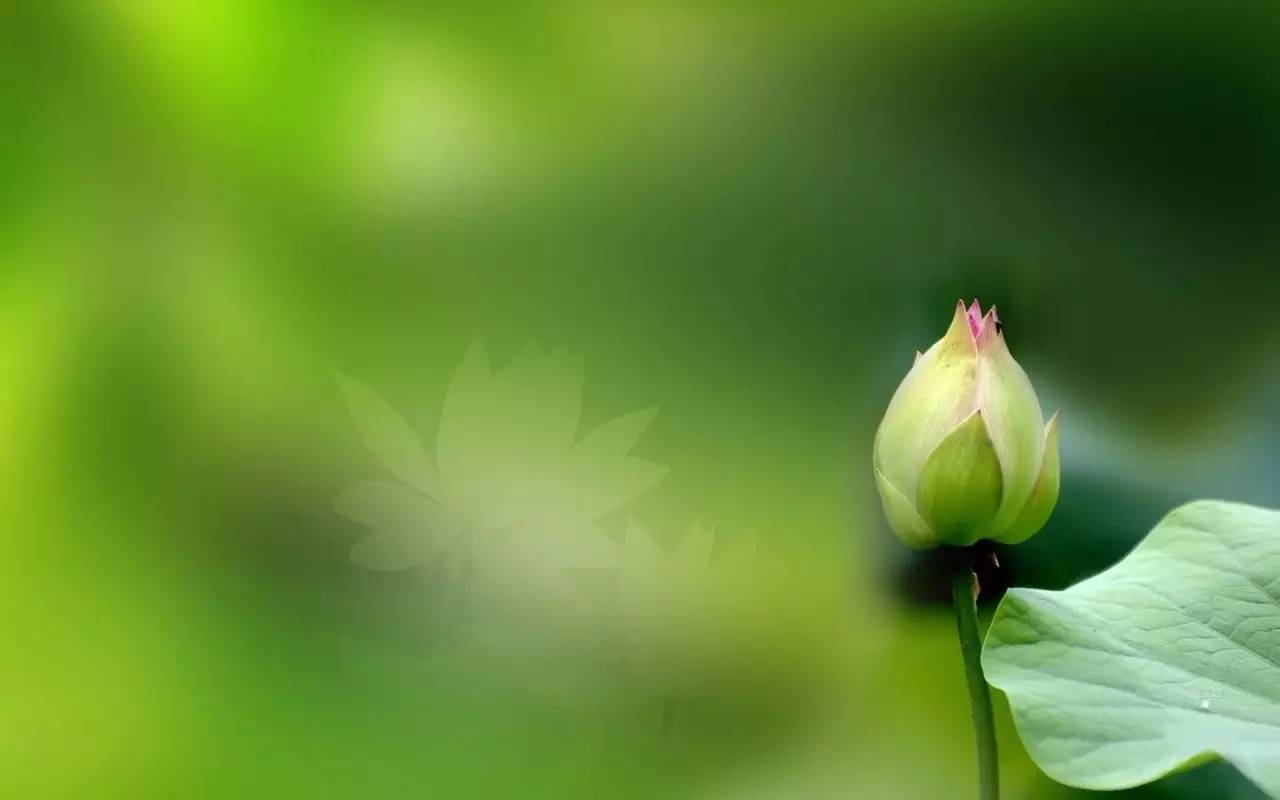 古風(fēng)句子《命運賦》，百讀不厭成就千古經(jīng)典