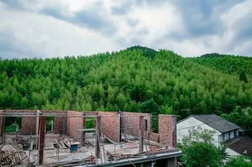 客堂間莫干山民宿，隱居深山聆聽自然