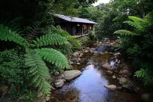 客堂間莫干山民宿，隱居深山聆聽自然