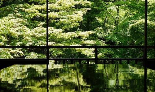 客堂間莫干山民宿，隱居深山聆聽(tīng)自然
