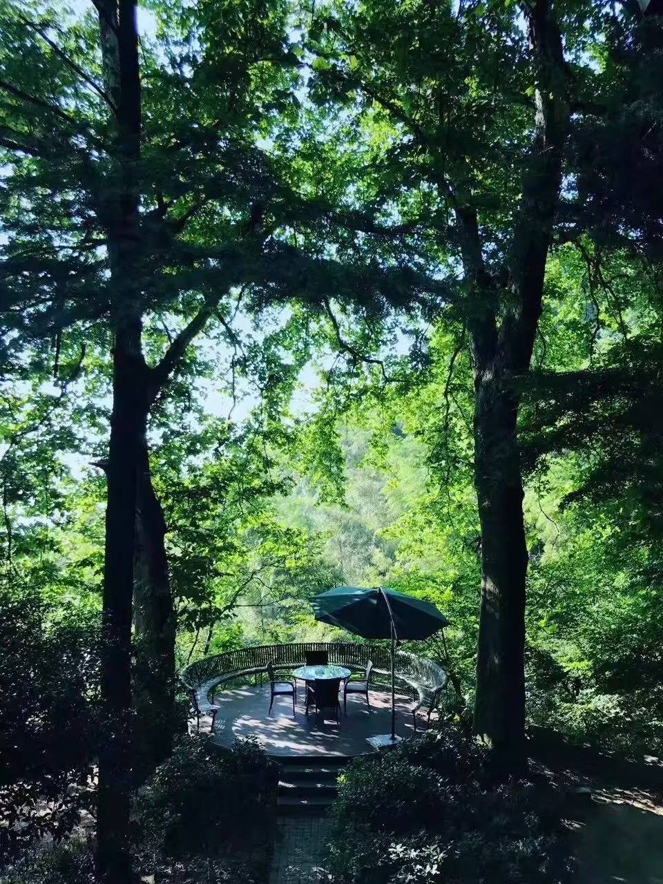 忘山別墅莫干山民宿，一棟百年歷史的民國別墅