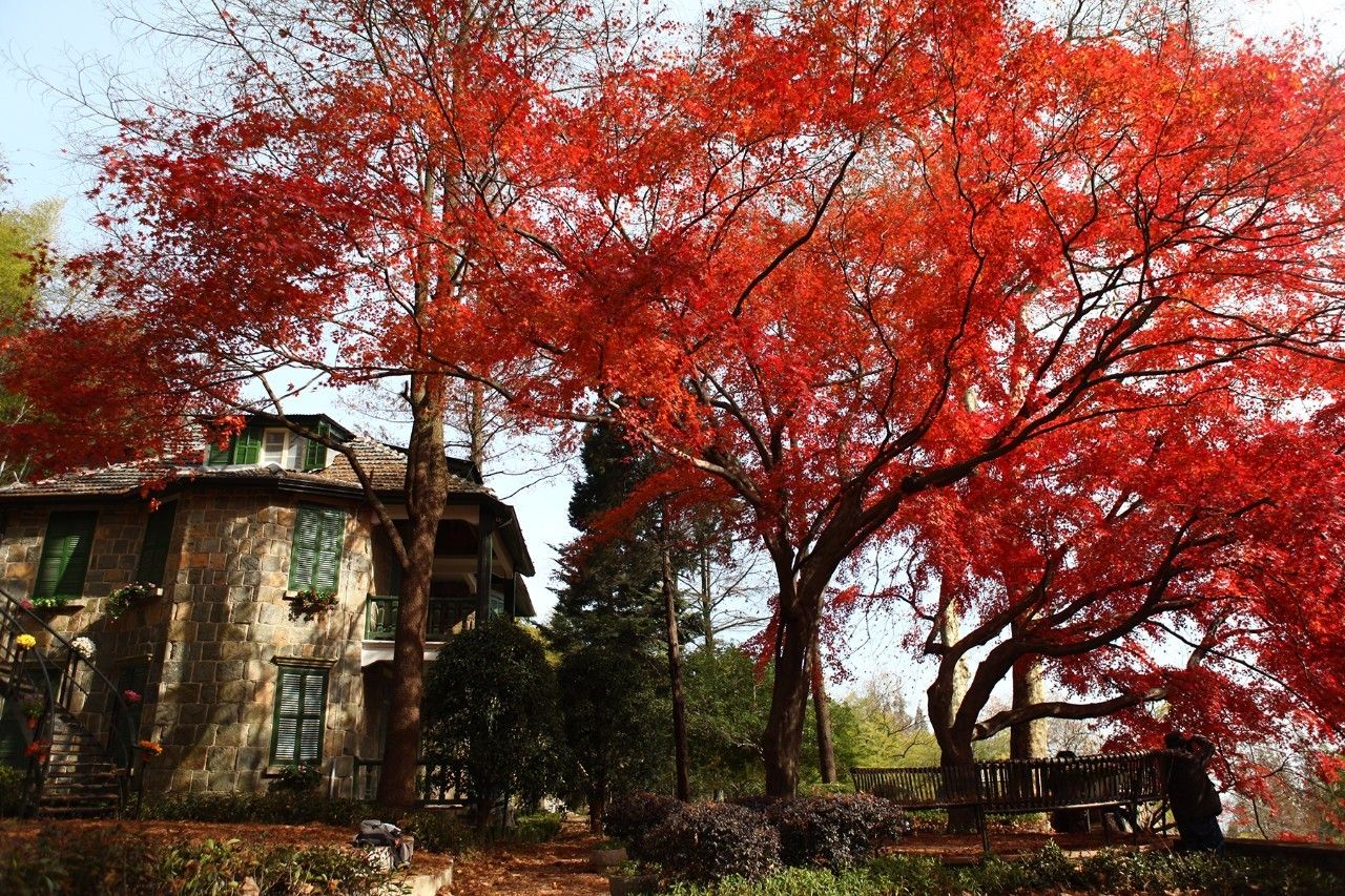 忘山別墅莫干山民宿，一棟百年歷史的民國(guó)別墅