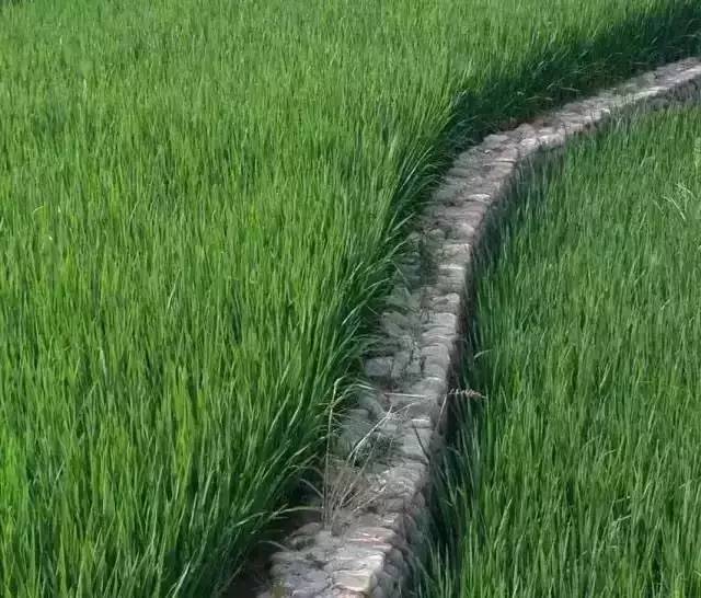 九華山德懋堂，九華山間打坐冥想清涼入心