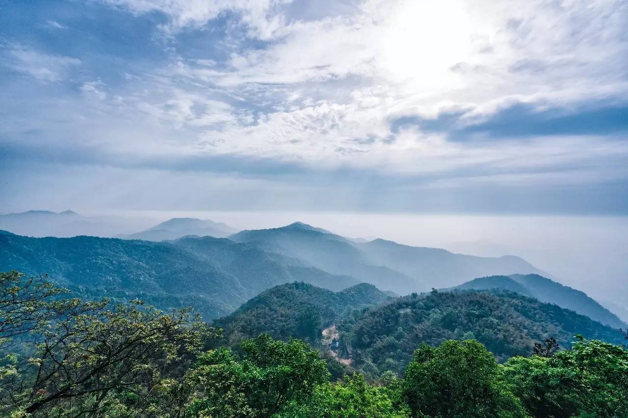 杭州山舍民宿，喝一壺茶聞桂花十里飄香