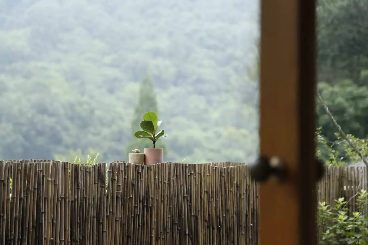杭州山舍民宿，喝一壺茶聞桂花十里飄香