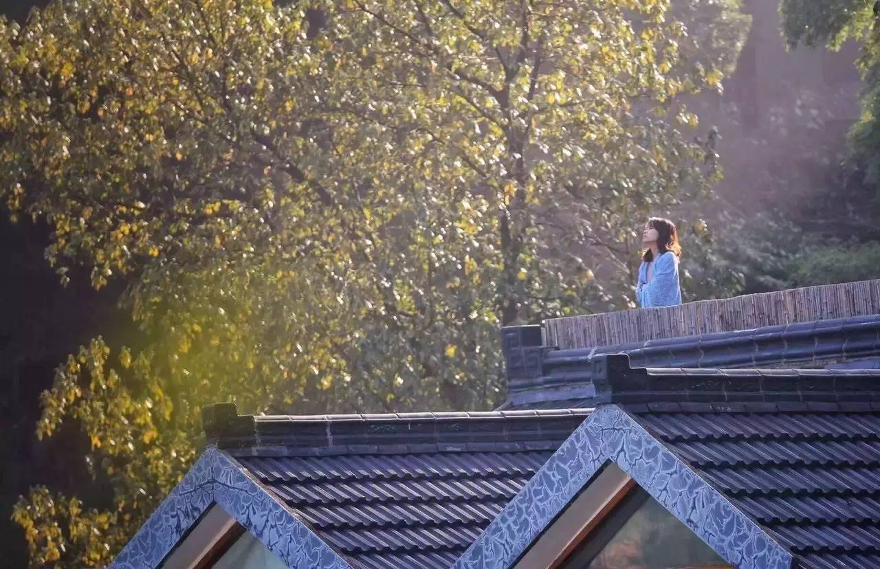 杭州山舍民宿，喝一壺茶聞桂花十里飄香