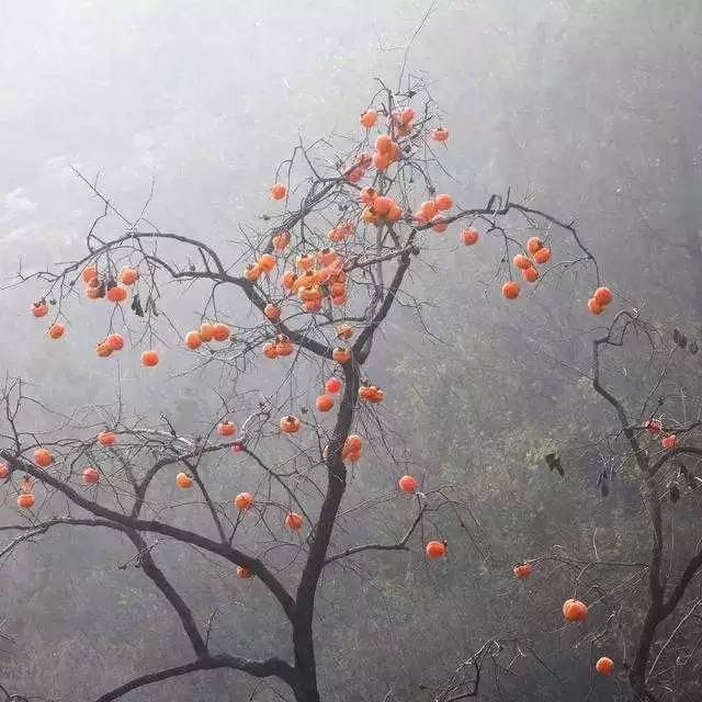 北京姥姥家民宿，聽故事感受自在的心靈時(shí)光