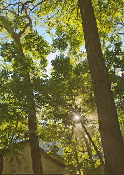 北京姥姥家民宿，聽故事感受自在的心靈時(shí)光