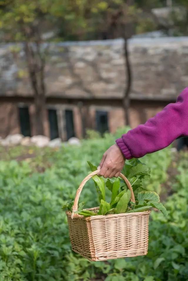 北京姥姥家民宿，聽故事感受自在的心靈時(shí)光