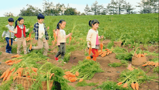 天堂山鄉(xiāng)愛樹民宿，古色古香的童話小鎮(zhèn)