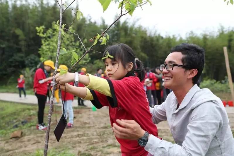 天堂山鄉(xiāng)愛樹民宿，古色古香的童話小鎮(zhèn)