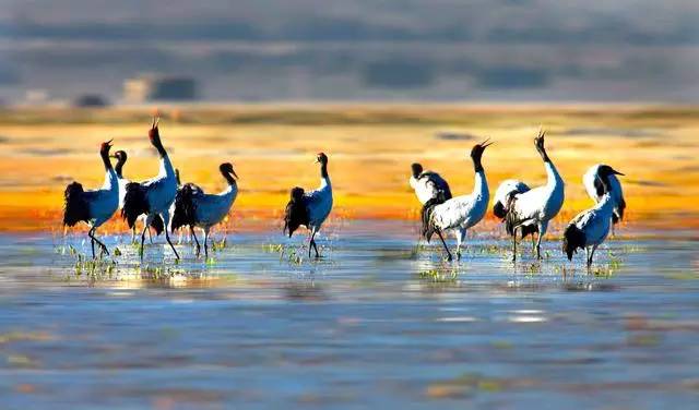 松贊拉薩曲吉林卡，用松贊的方式重走拉薩