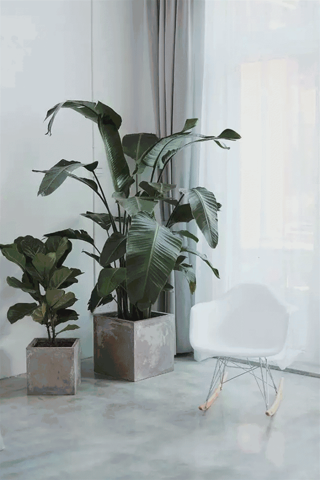 杭州一緒民宿，用鏡頭感受世間一切美好