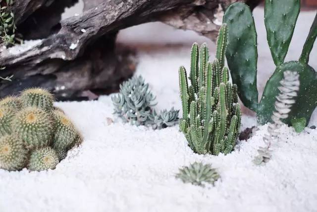 杭州一緒民宿，用鏡頭感受世間一切美好