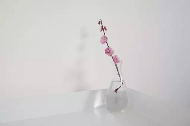 杭州一緒民宿，用鏡頭感受世間一切美好