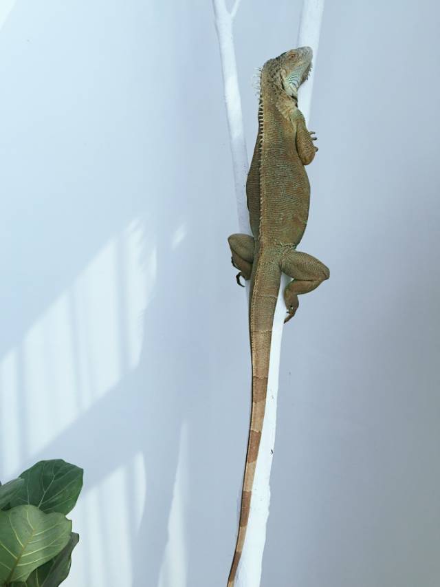 杭州一緒民宿，用鏡頭感受世間一切美好