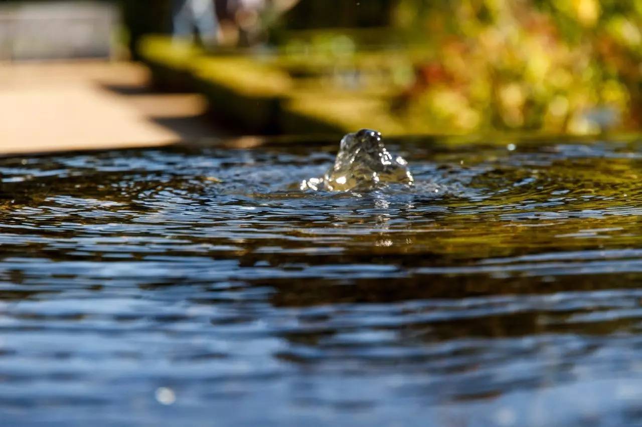 融居·銀箔泉，來銀箔泉邊喝茶看蒼山洱海
