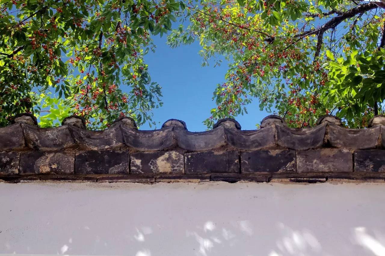 融居·銀箔泉，來銀箔泉邊喝茶看蒼山洱海