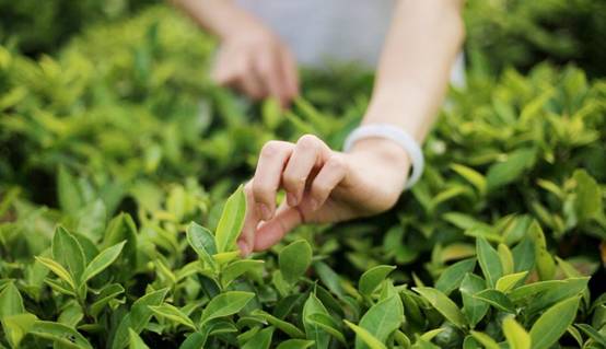 壹城一家，一座城一盞燈一個家在守候你