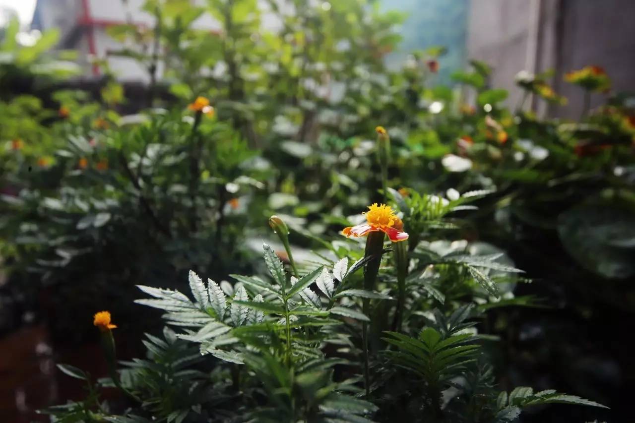 壹城一家，一座城一盞燈一個(gè)家在守候你