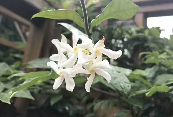 壹城一家，一座城一盞燈一個(gè)家在守候你