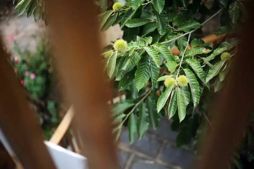 壹城一家，一座城一盞燈一個(gè)家在守候你