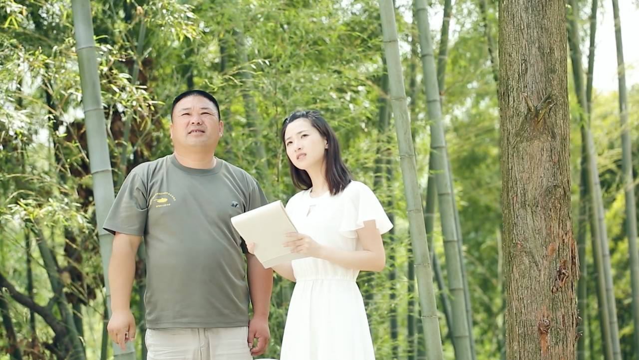 鳴林民宿，穿越千山萬水魂牽夢索的只有家鄉(xiāng)