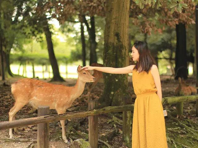 鳴林民宿，穿越千山萬水魂牽夢索的只有家鄉(xiāng)