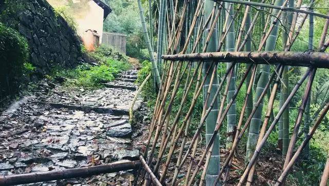 鳴林民宿，穿越千山萬水魂牽夢索的只有家鄉(xiāng)