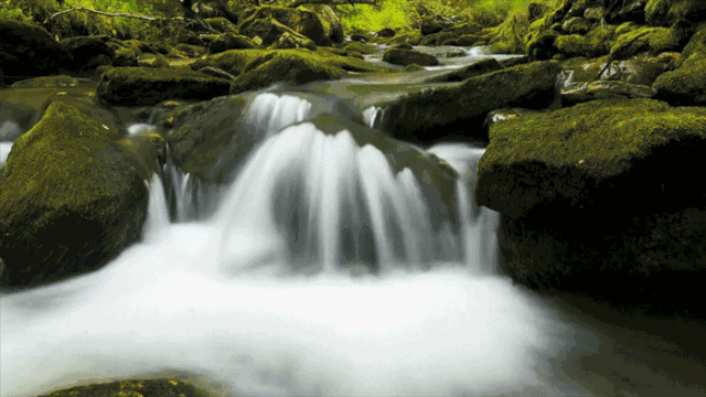鳴林民宿，穿越千山萬水魂牽夢索的只有家鄉(xiāng)