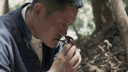 養(yǎng)智香鋪，沉香的功效與作用