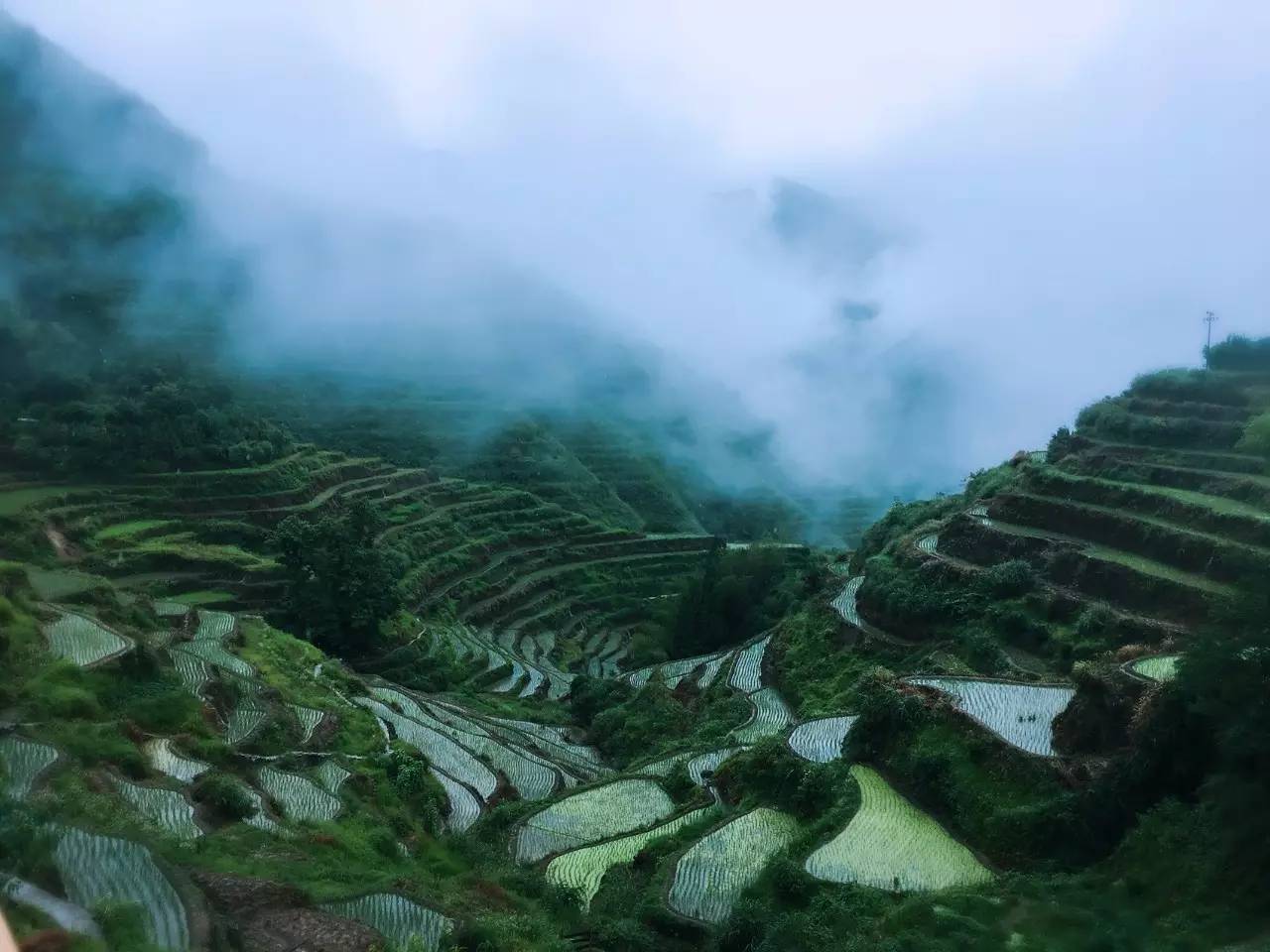 如隱·小佐居，半入溪水半入云