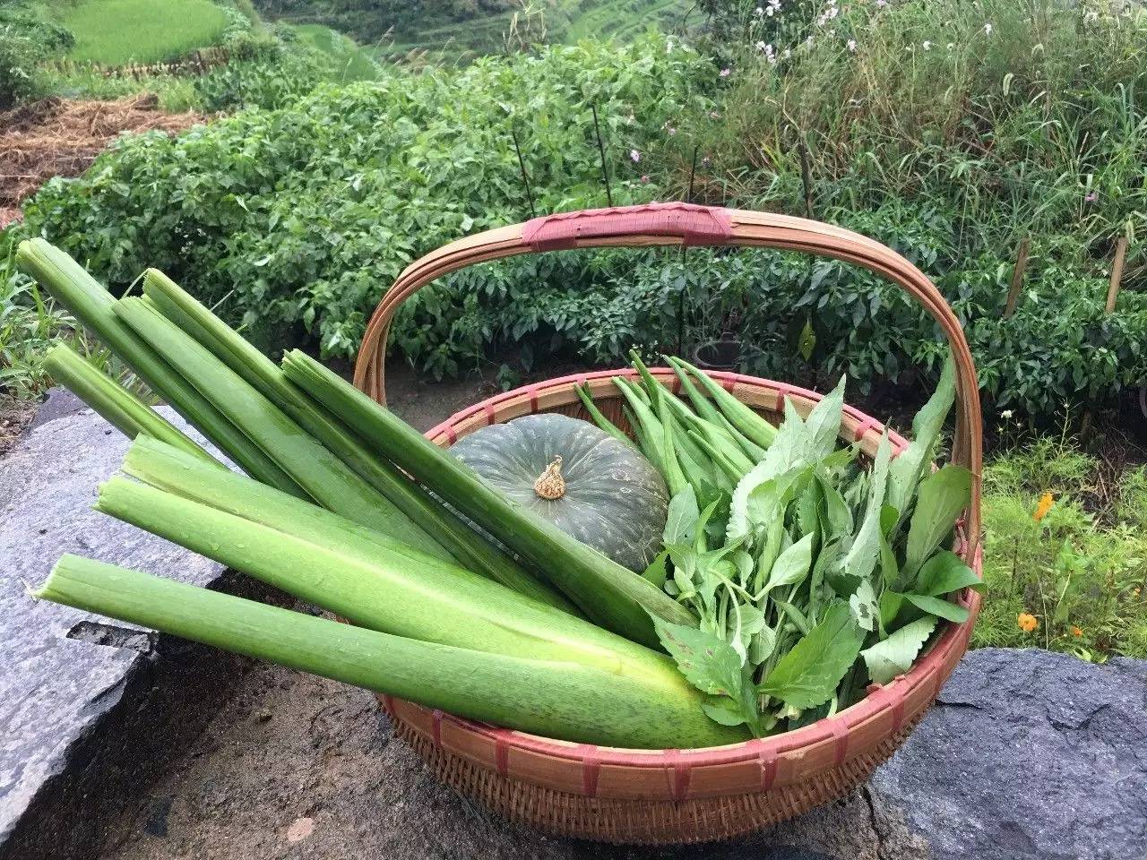 如隱·小佐居，半入溪水半入云