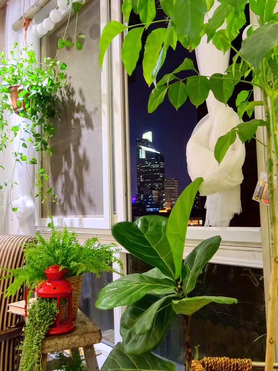 信宿·湖隱一號(hào)，在市井里大隱隱于市