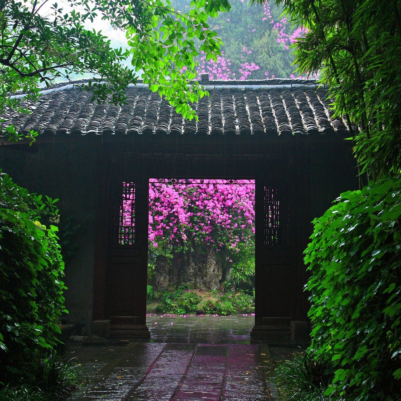 Shin House炘宿，一所真正的“設計師民宿”