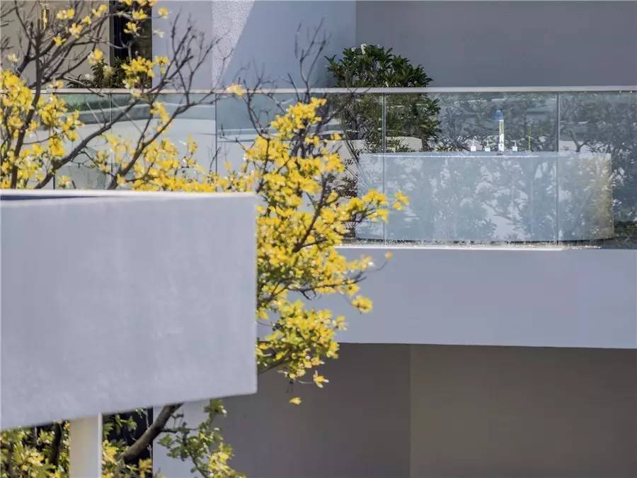 雪山莊園，只是天堂下降了一點(diǎn)點(diǎn)