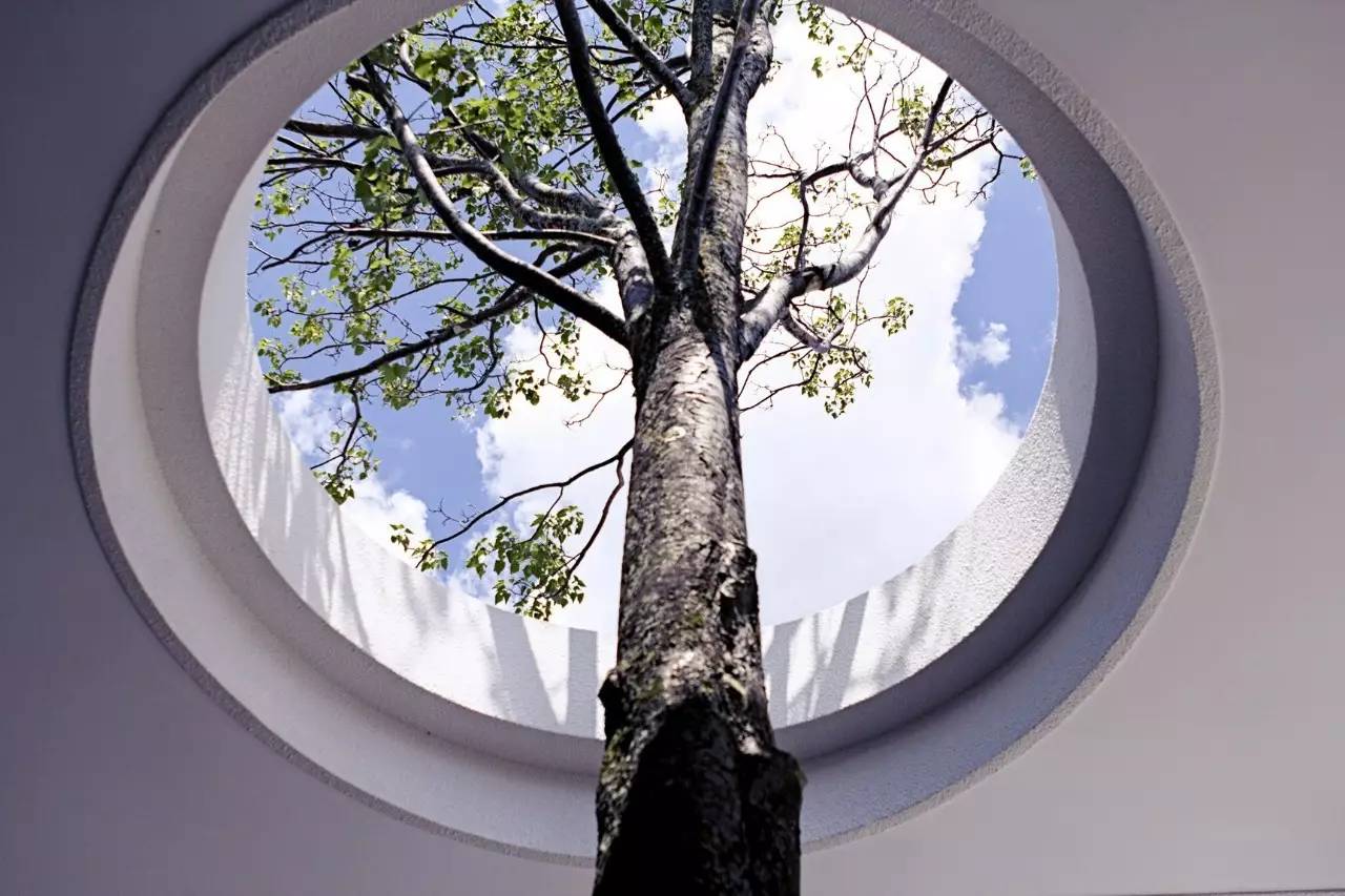 雪山莊園，只是天堂下降了一點(diǎn)點(diǎn)