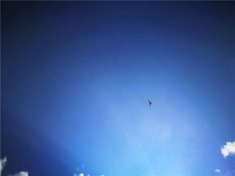 雪山莊園，只是天堂下降了一點點