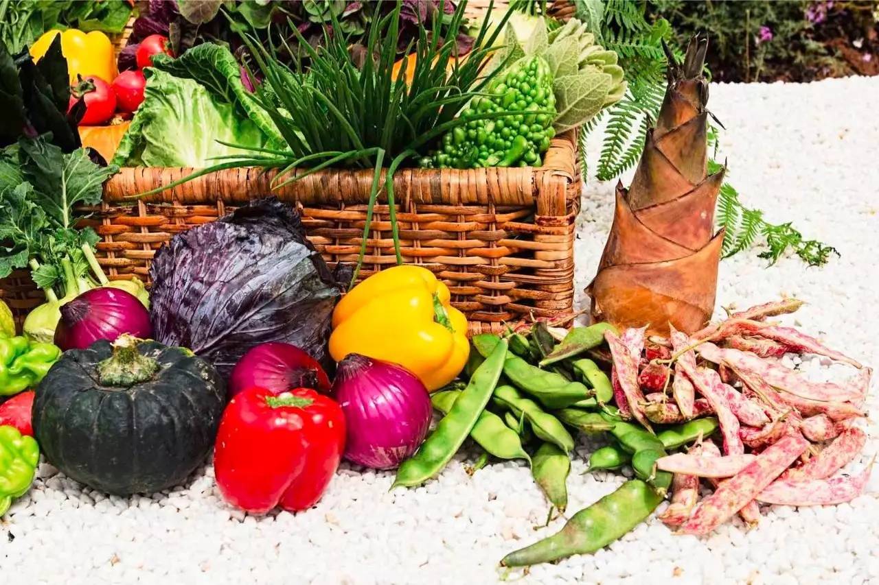 雪山莊園，只是天堂下降了一點(diǎn)點(diǎn)