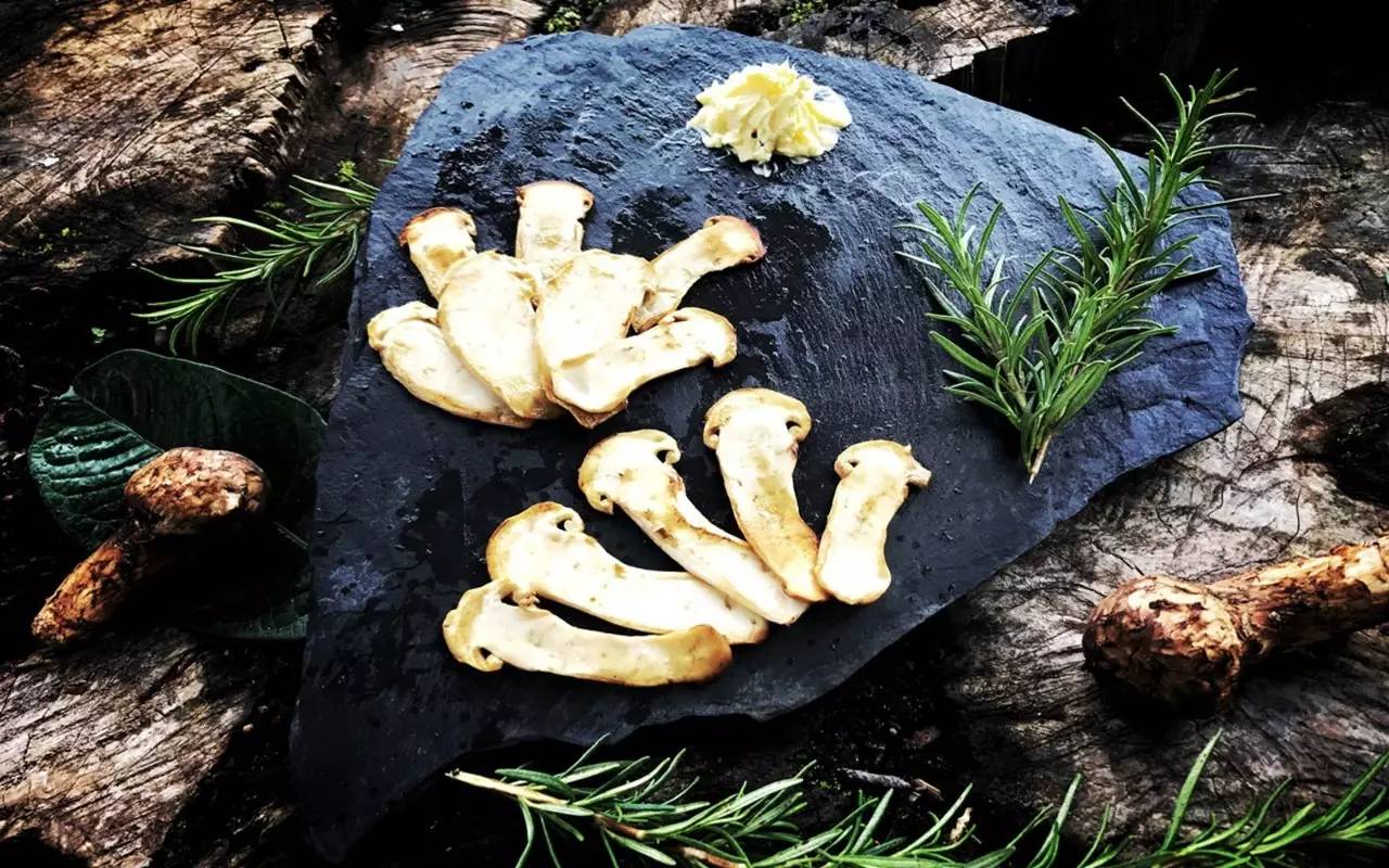 雪山莊園，只是天堂下降了一點(diǎn)點(diǎn)