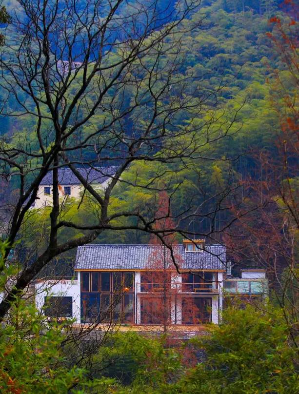 大樂(lè)之野·谷舍，擁有一個(gè)詩(shī)意的世界