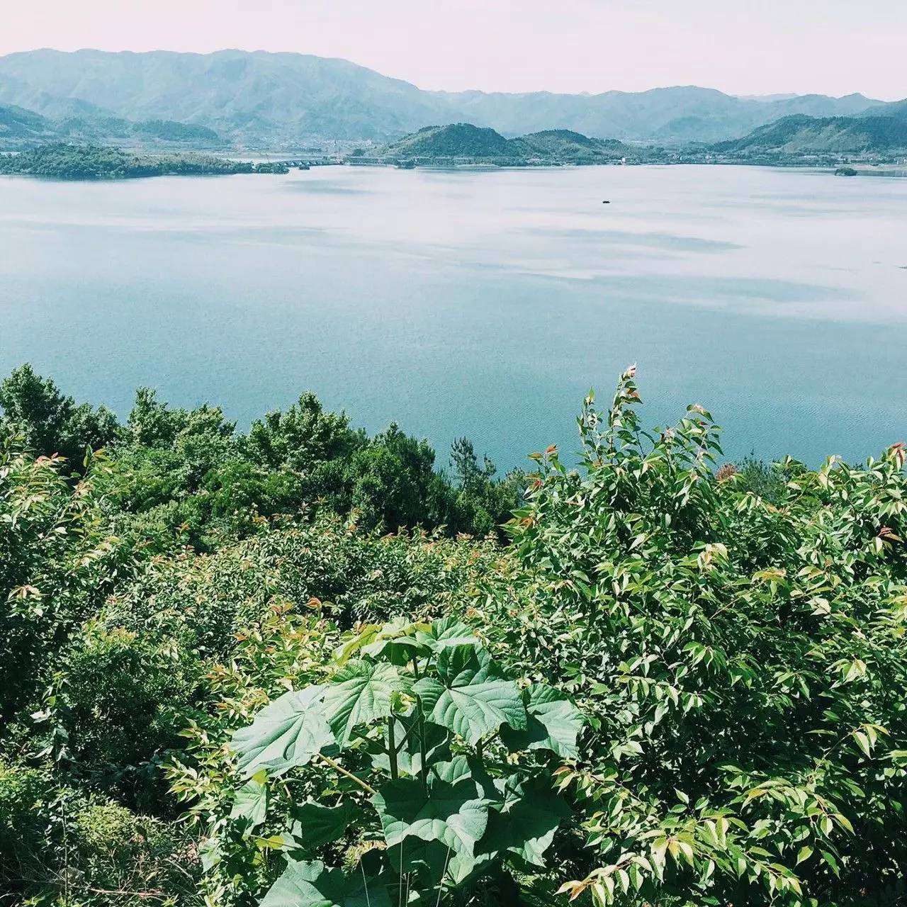 大樂之野·谷舍，擁有一個(gè)詩意的世界