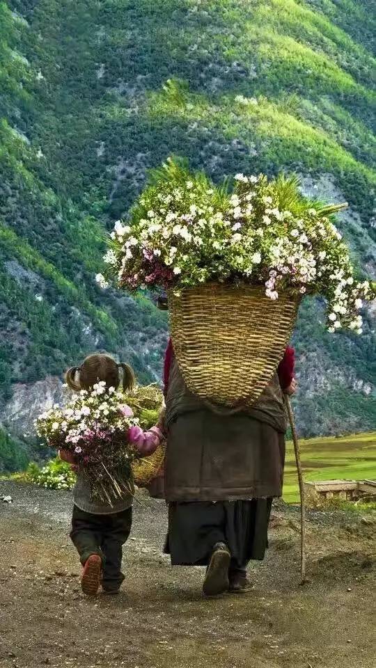 天空之城南杉藝術(shù)酒店，在月光之城尋找探索