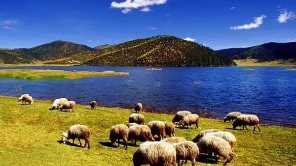 天空之城南杉藝術(shù)酒店，在月光之城尋找探索