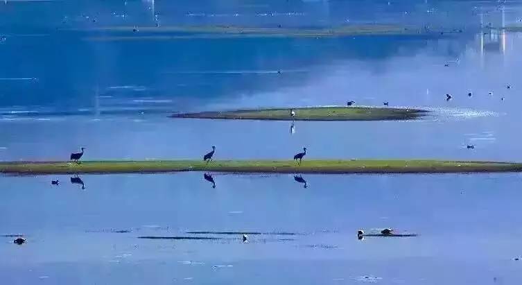 天空之城南杉藝術(shù)酒店，在月光之城尋找探索