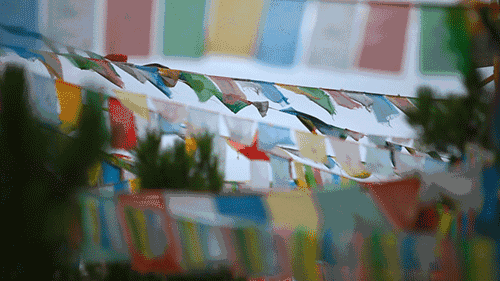 天空之城南杉藝術(shù)酒店，在月光之城尋找探索