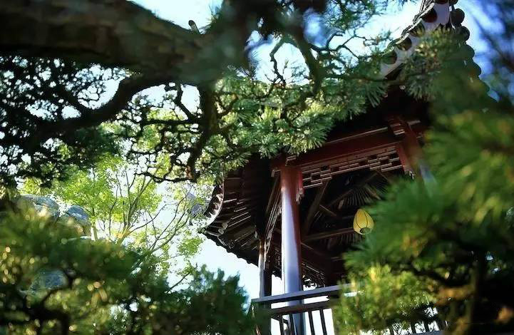 大美江南·蘇洲府，生長在姑蘇古城的園子