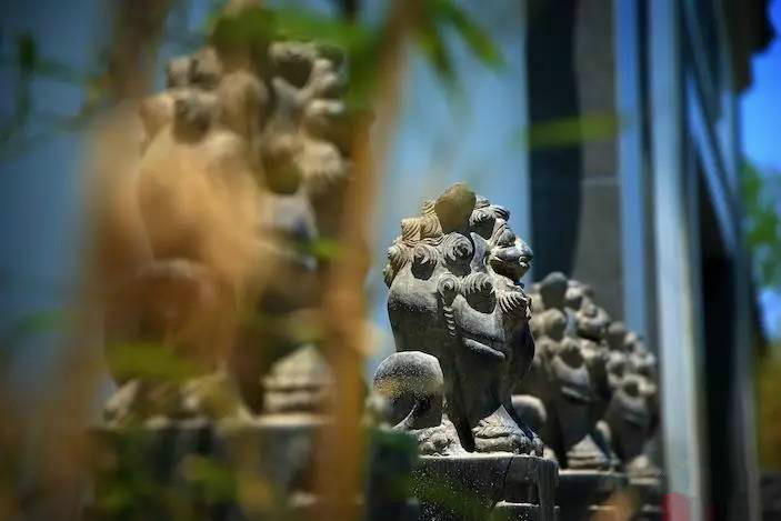 大美江南·蘇洲府，生長在姑蘇古城的園子