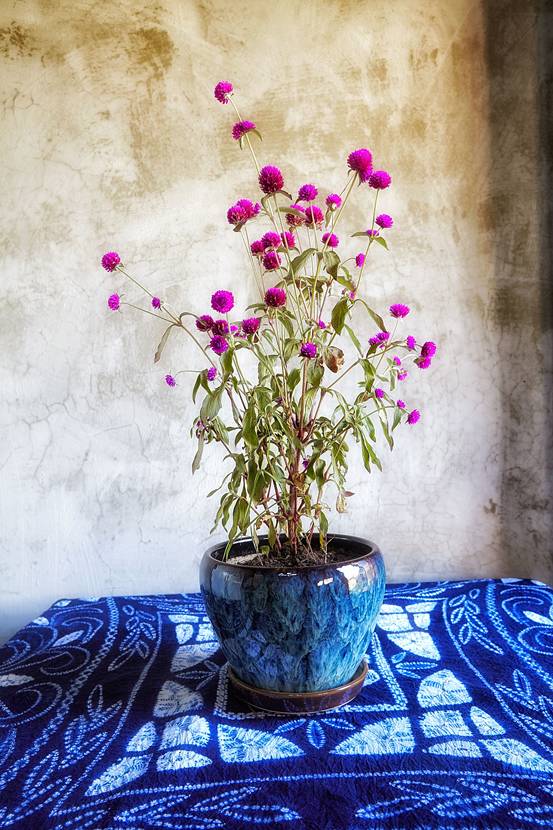 古一私邸，在大理洱海風(fēng)花雪月演繹痛快人生