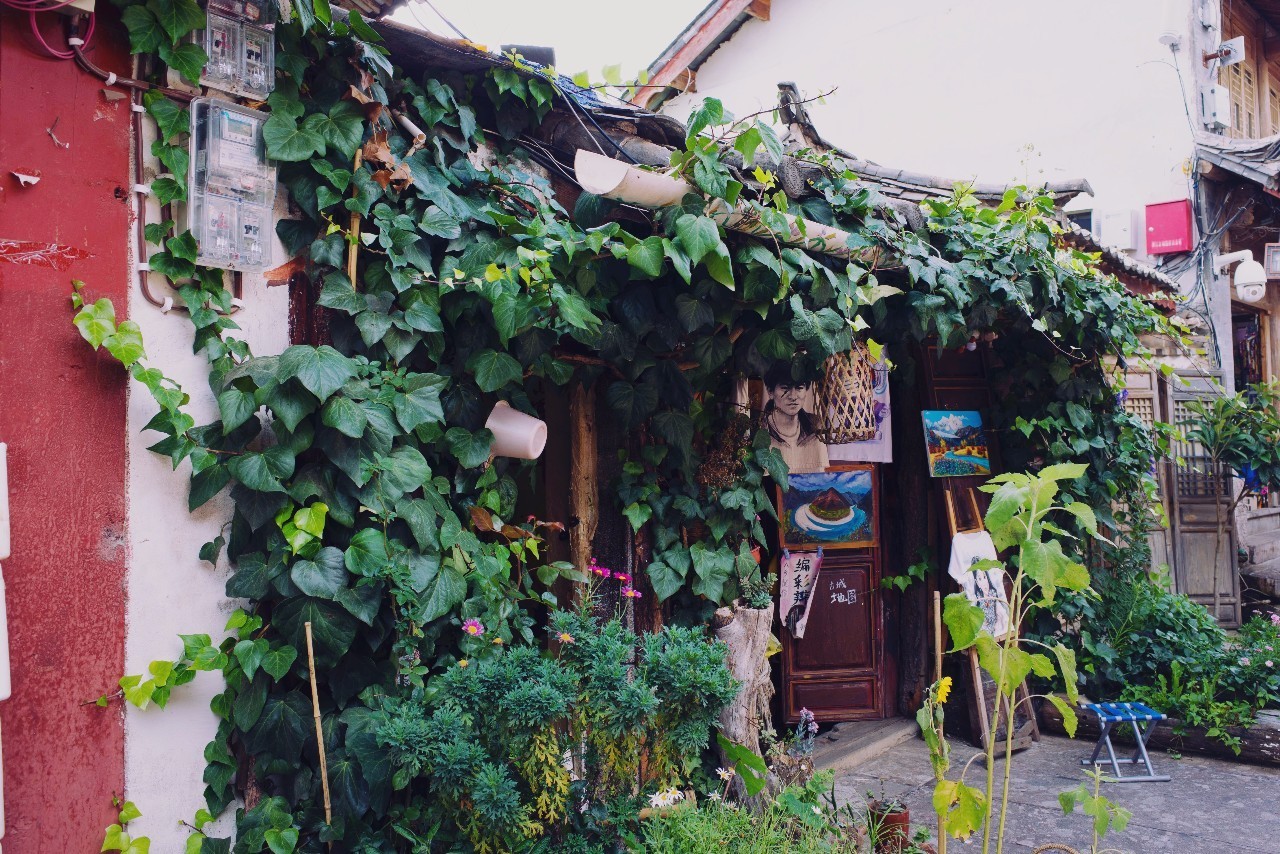 文殊·林舍，在麗江古城過著獨(dú)一無二的小日子